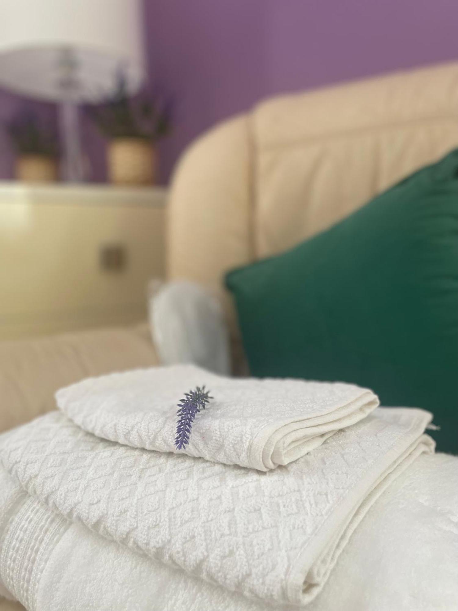 Jck Tuscany Apartment 利沃诺 外观 照片